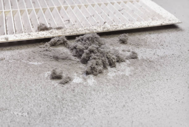 Air Duct Mold Removal in North Port, FL
